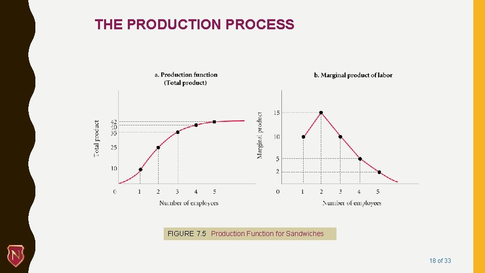 THE PRODUCTION PROCESS FIGURE 7. 5 Production Function for Sandwiches 18 of 33 