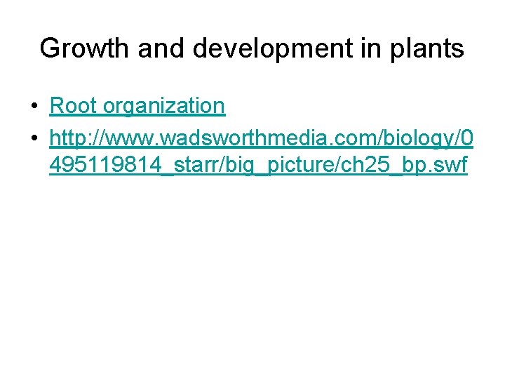 Growth and development in plants • Root organization • http: //www. wadsworthmedia. com/biology/0 495119814_starr/big_picture/ch Growth and development in plants • Root organization • http: //www. wadsworthmedia. com/biology/0 495119814_starr/big_picture/ch