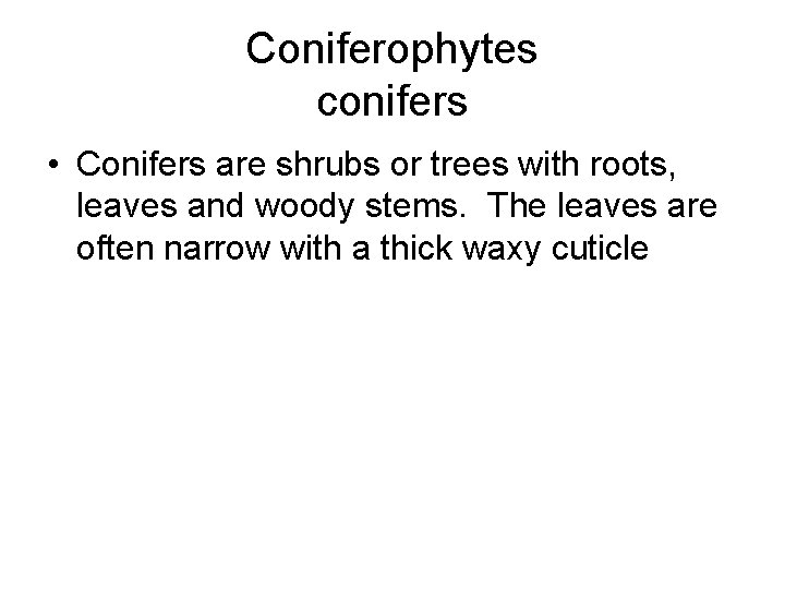 Coniferophytes conifers • Conifers are shrubs or trees with roots, leaves and woody stems. Coniferophytes conifers • Conifers are shrubs or trees with roots, leaves and woody stems.