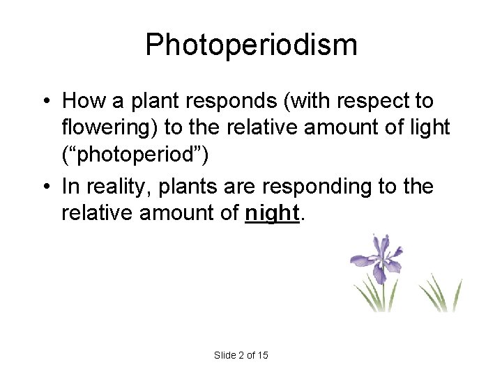 Photoperiodism • How a plant responds (with respect to flowering) to the relative amount Photoperiodism • How a plant responds (with respect to flowering) to the relative amount