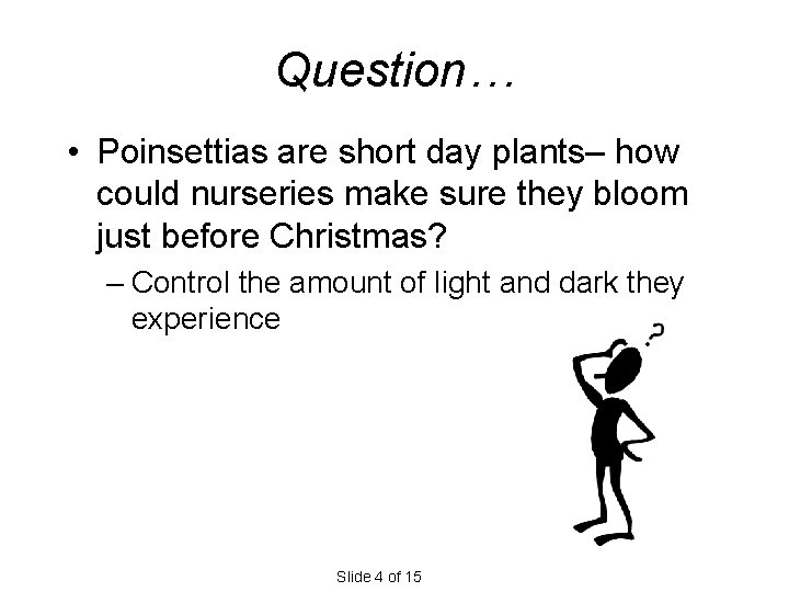 Question… • Poinsettias are short day plants– how could nurseries make sure they bloom Question… • Poinsettias are short day plants– how could nurseries make sure they bloom