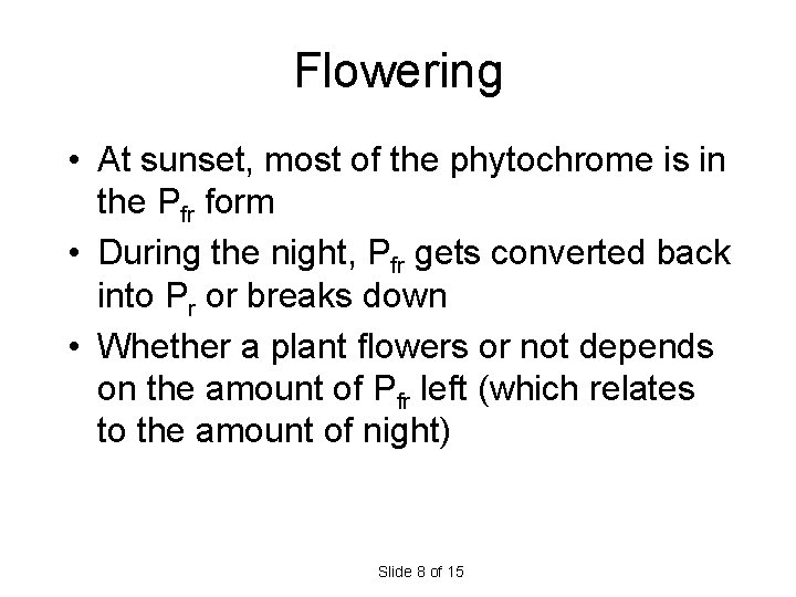 Flowering • At sunset, most of the phytochrome is in the Pfr form • Flowering • At sunset, most of the phytochrome is in the Pfr form •