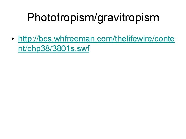 Phototropism/gravitropism • http: //bcs. whfreeman. com/thelifewire/conte nt/chp 38/3801 s. swf Phototropism/gravitropism • http: //bcs. whfreeman. com/thelifewire/conte nt/chp 38/3801 s. swf