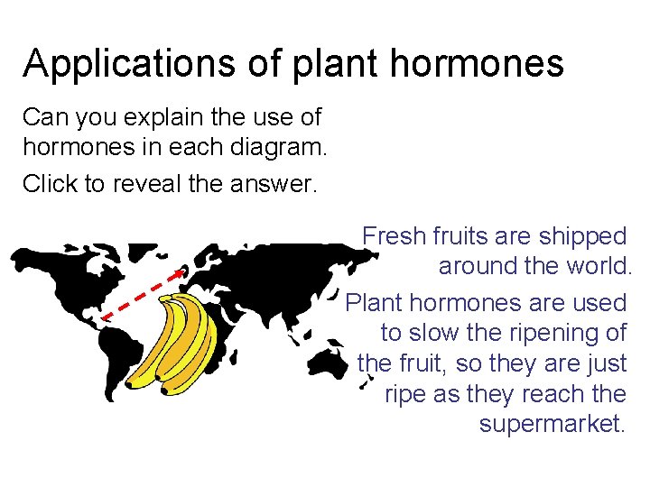 Applications of plant hormones Can you explain the use of hormones in each diagram. Applications of plant hormones Can you explain the use of hormones in each diagram.