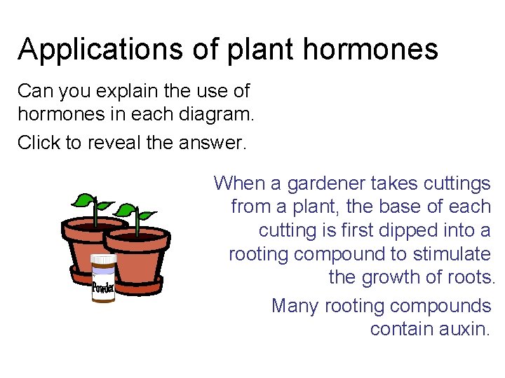Applications of plant hormones Can you explain the use of hormones in each diagram. Applications of plant hormones Can you explain the use of hormones in each diagram.