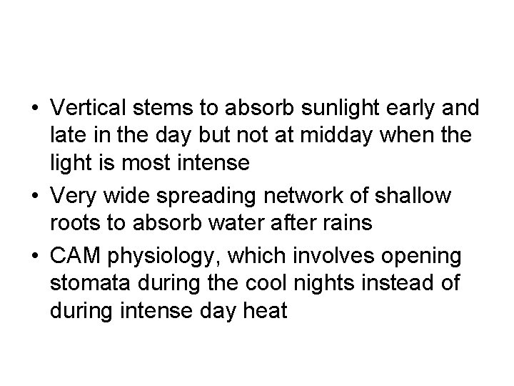• Vertical stems to absorb sunlight early and late in the day but • Vertical stems to absorb sunlight early and late in the day but