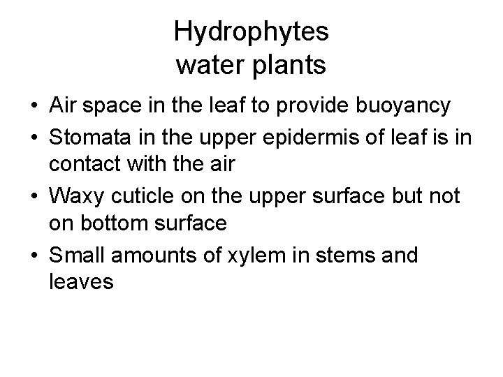 Hydrophytes water plants • Air space in the leaf to provide buoyancy • Stomata Hydrophytes water plants • Air space in the leaf to provide buoyancy • Stomata