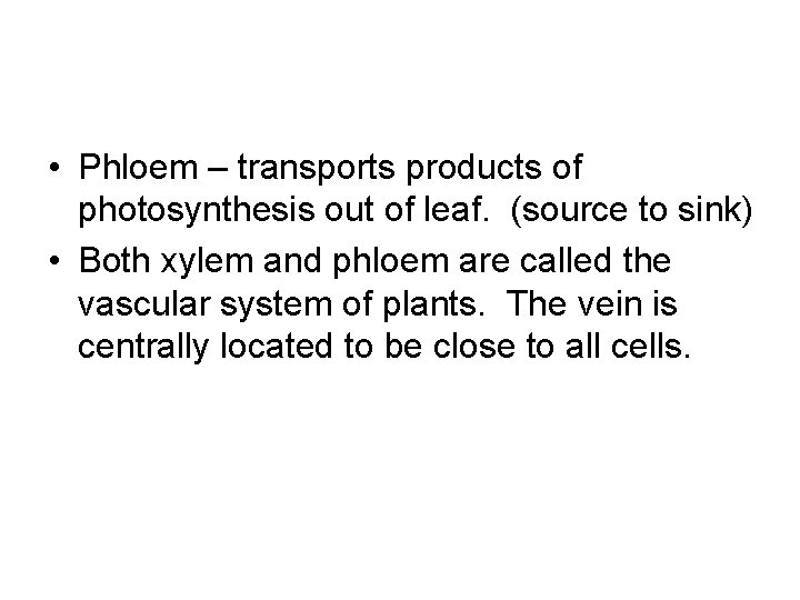 • Phloem – transports products of photosynthesis out of leaf. (source to sink) • Phloem – transports products of photosynthesis out of leaf. (source to sink)