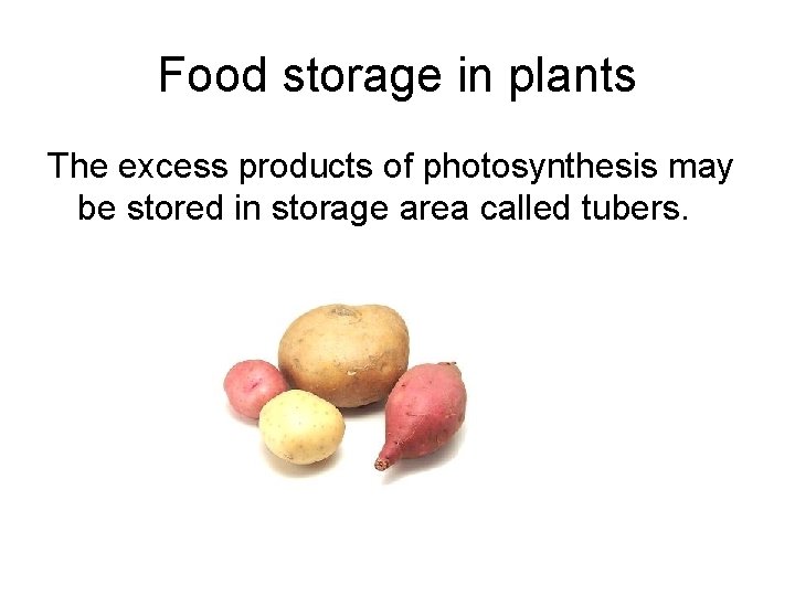 Food storage in plants The excess products of photosynthesis may be stored in storage Food storage in plants The excess products of photosynthesis may be stored in storage
