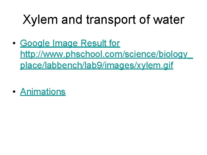 Xylem and transport of water • Google Image Result for http: //www. phschool. com/science/biology_ Xylem and transport of water • Google Image Result for http: //www. phschool. com/science/biology_
