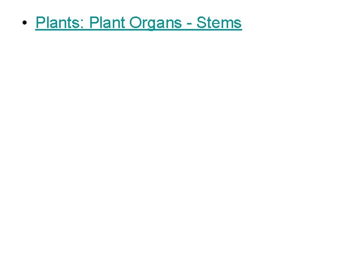 • Plants: Plant Organs - Stems • Plants: Plant Organs - Stems