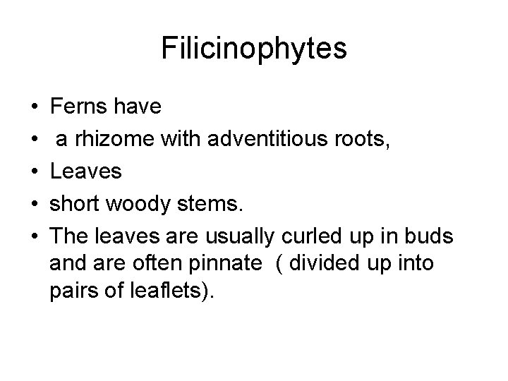 Filicinophytes • • • Ferns have a rhizome with adventitious roots, Leaves short woody Filicinophytes • • • Ferns have a rhizome with adventitious roots, Leaves short woody