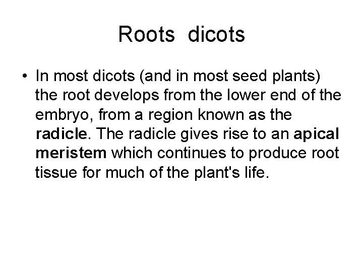 Roots dicots • In most dicots (and in most seed plants) the root develops Roots dicots • In most dicots (and in most seed plants) the root develops