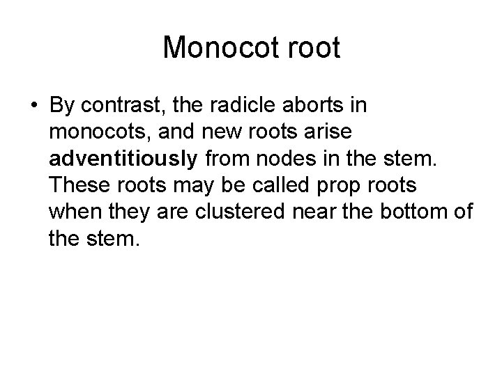Monocot root • By contrast, the radicle aborts in monocots, and new roots arise Monocot root • By contrast, the radicle aborts in monocots, and new roots arise