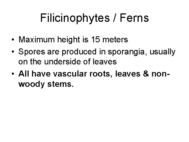Filicinophytes / Ferns • Maximum height is 15 meters • Spores are produced in Filicinophytes / Ferns • Maximum height is 15 meters • Spores are produced in