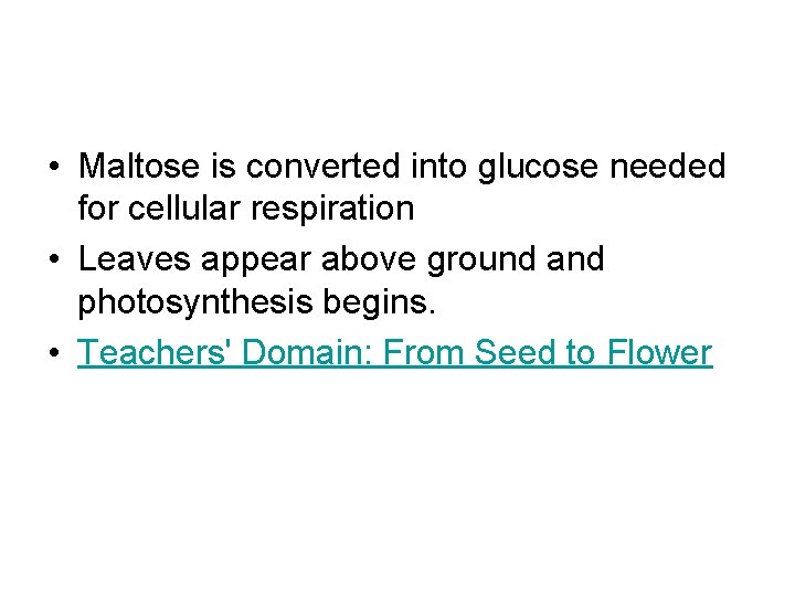• Maltose is converted into glucose needed for cellular respiration • Leaves appear • Maltose is converted into glucose needed for cellular respiration • Leaves appear