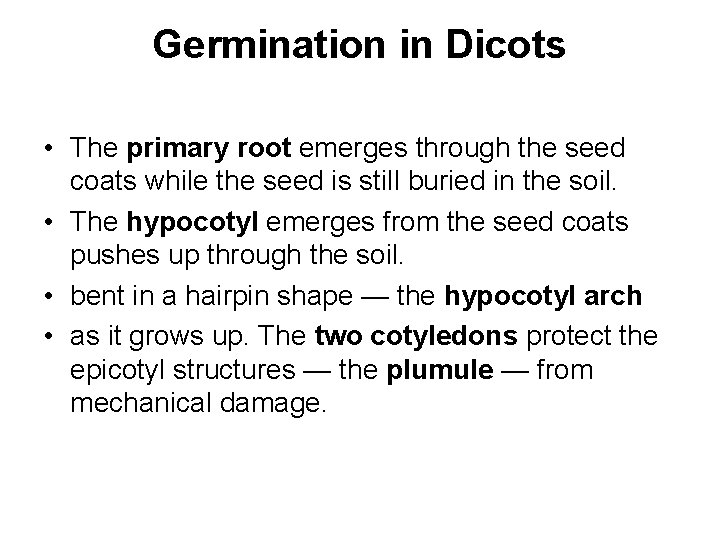 Germination in Dicots • The primary root emerges through the seed coats while the Germination in Dicots • The primary root emerges through the seed coats while the