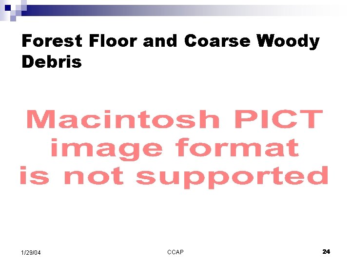 Forest Floor and Coarse Woody Debris 1/29/04 CCAP 24 