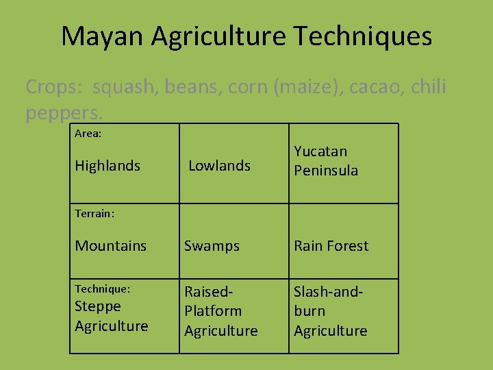 Mayan Agriculture Techniques Crops: squash, beans, corn (maize), cacao, chili peppers. Area: Lowlands Yucatan