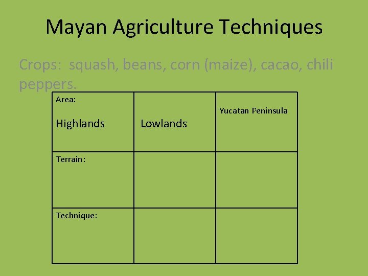 Mayan Agriculture Techniques Crops: squash, beans, corn (maize), cacao, chili peppers. Area: Highlands Terrain:
