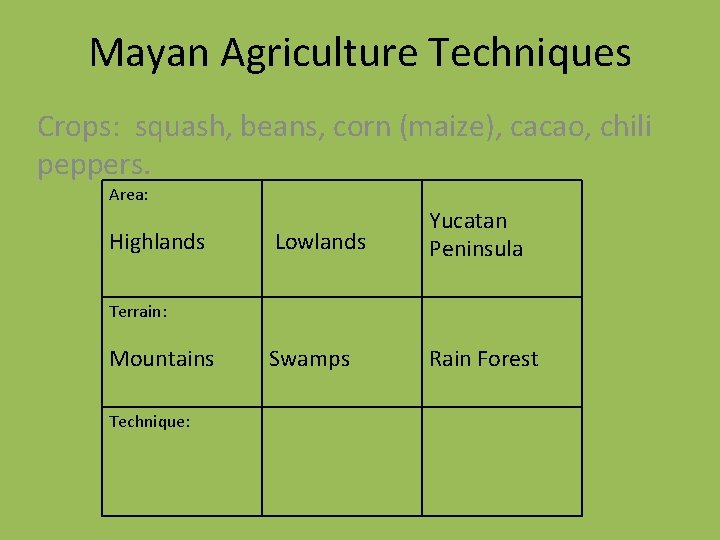 Mayan Agriculture Techniques Crops: squash, beans, corn (maize), cacao, chili peppers. Area: Highlands Lowlands