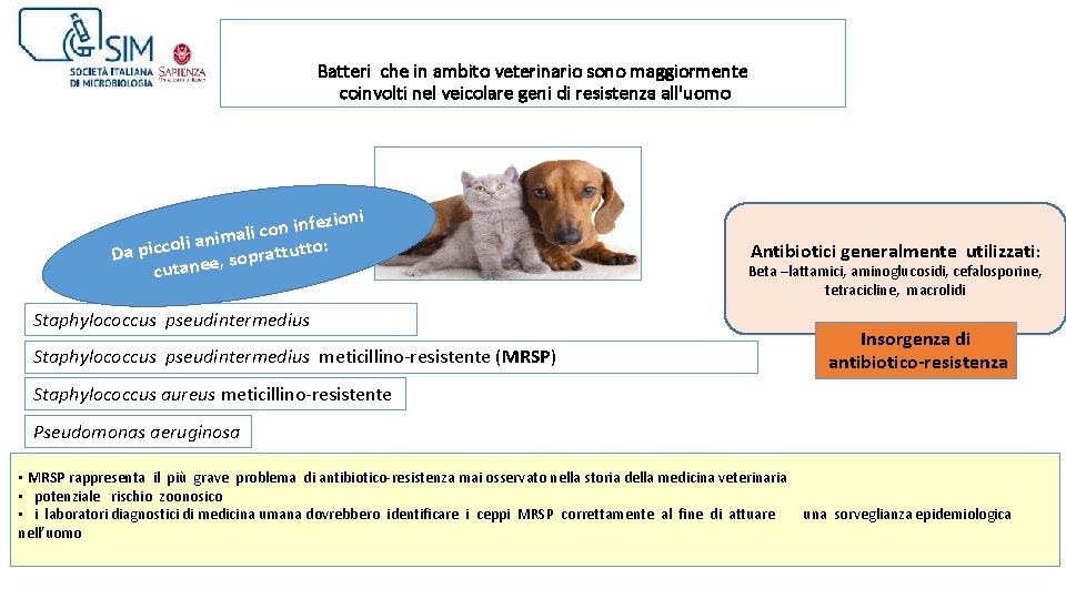 Batteri che in ambito veterinario sono maggiormente coinvolti nel veicolare geni di resistenza all'uomo