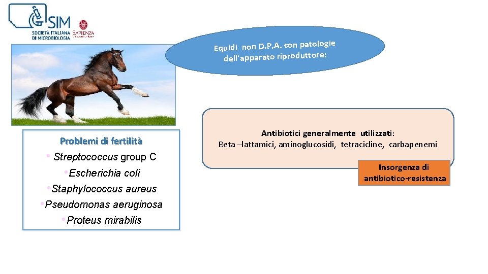 ogie Equidi non D. P. A. con patol dell’apparato riproduttore: Problemi di fertilità •