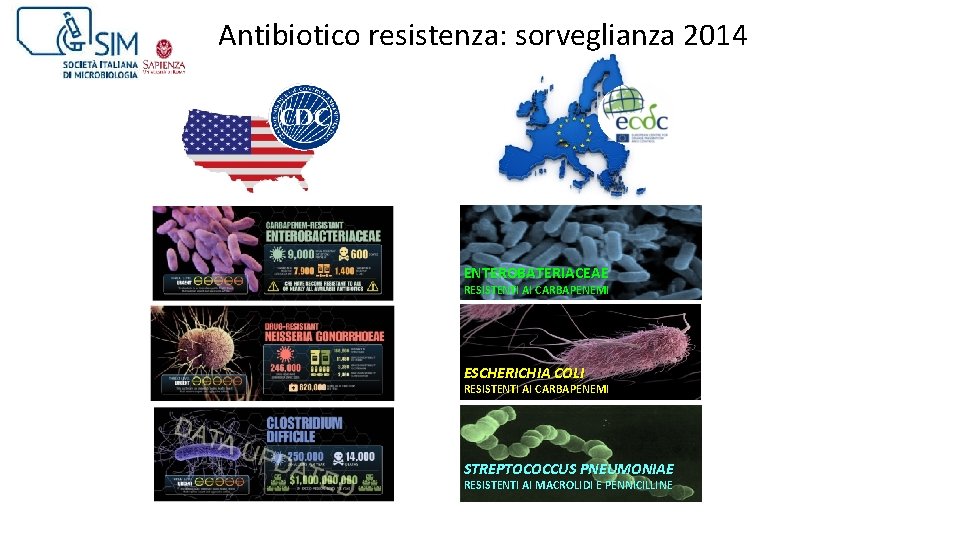Antibiotico resistenza: sorveglianza 2014 ENTEROBATERIACEAE RESISTENTI AI CARBAPENEMI ESCHERICHIA COLI RESISTENTI AI CARBAPENEMI STREPTOCOCCUS