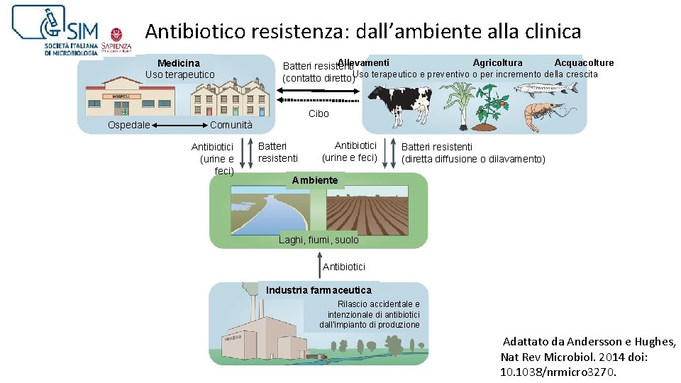 Antibiotico resistenza: dall’ambiente alla clinica Medicina Uso terapeutico Allevamenti Agricoltura Acquacolture Batteri resistenti (contatto