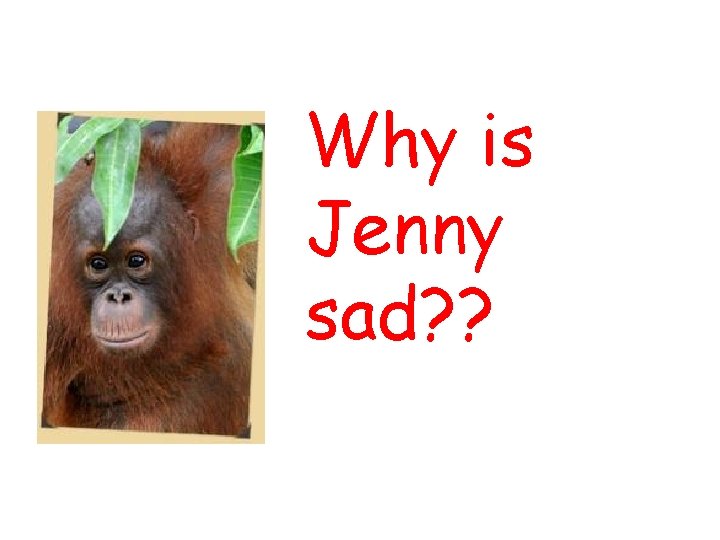 Why is Jenny sad? ? 