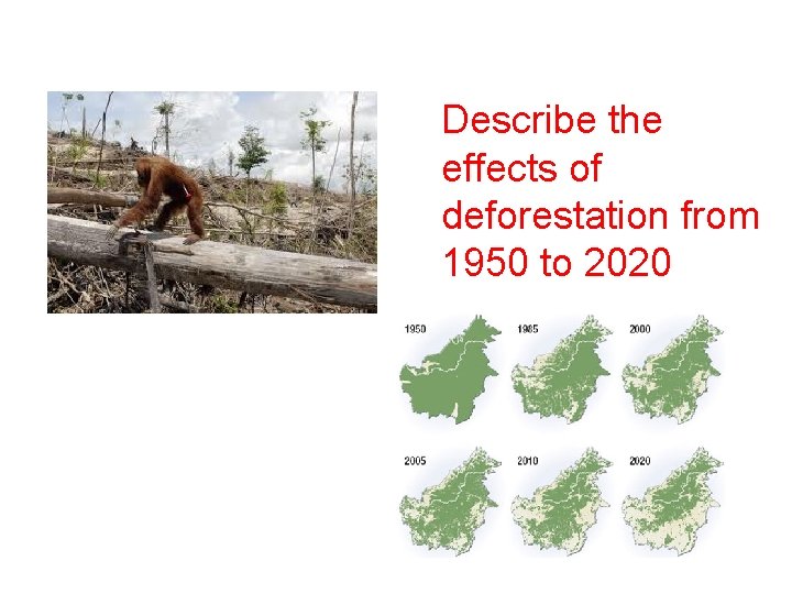 Describe the effects of deforestation from 1950 to 2020 