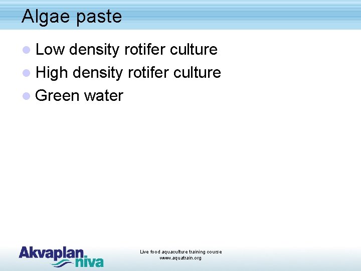 Algae paste l Low density rotifer culture l High density rotifer culture l Green