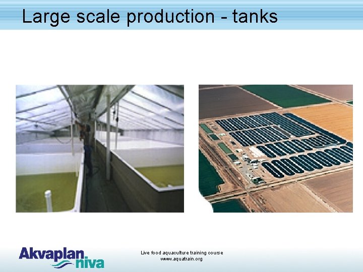 Large scale production - tanks Live food aquaculture training course www. aquatrain. org 