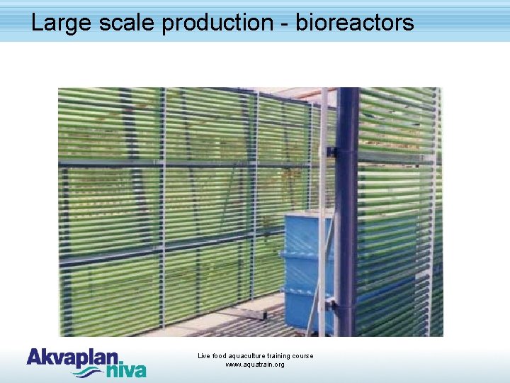 Large scale production - bioreactors Live food aquaculture training course www. aquatrain. org 