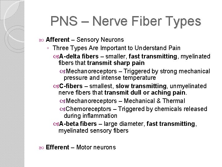 PNS – Nerve Fiber Types Afferent – Sensory Neurons ◦ Three Types Are Important