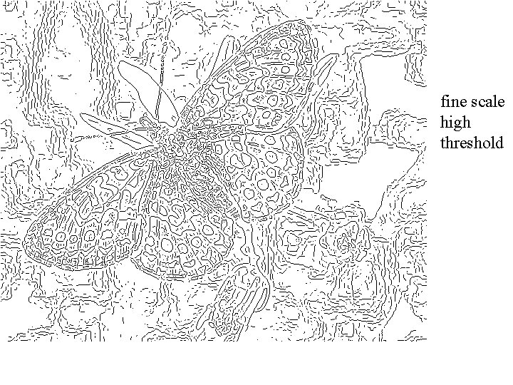 fine scale high threshold 