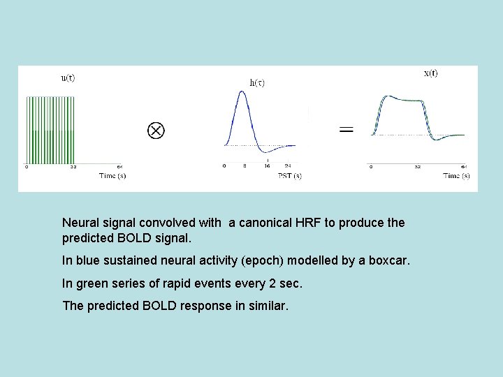 Neural signal convolved with a canonical HRF to produce the predicted BOLD signal. In
