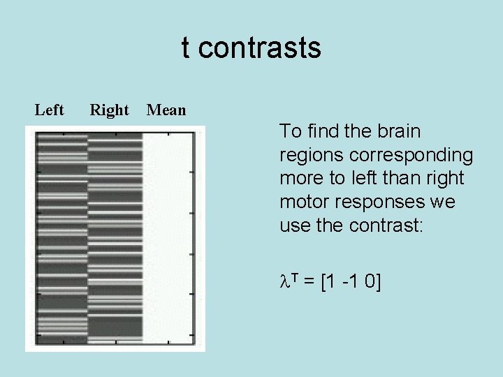 t contrasts Left Right Mean To find the brain regions corresponding more to left
