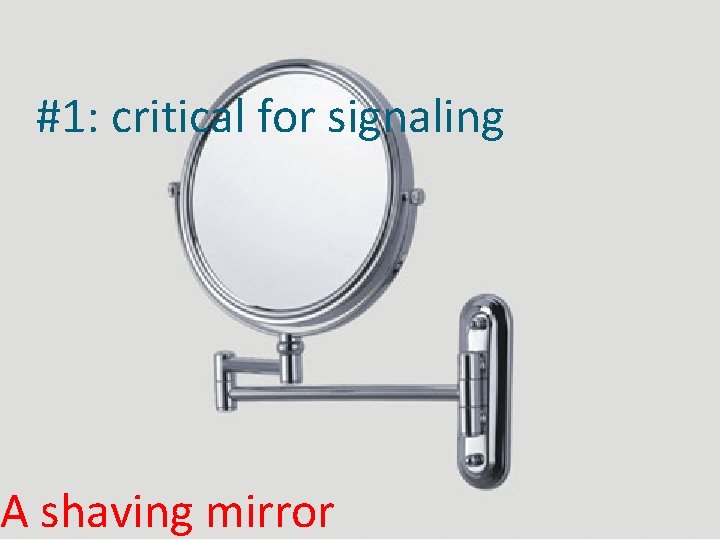 #1: critical for signaling A shaving mirror 