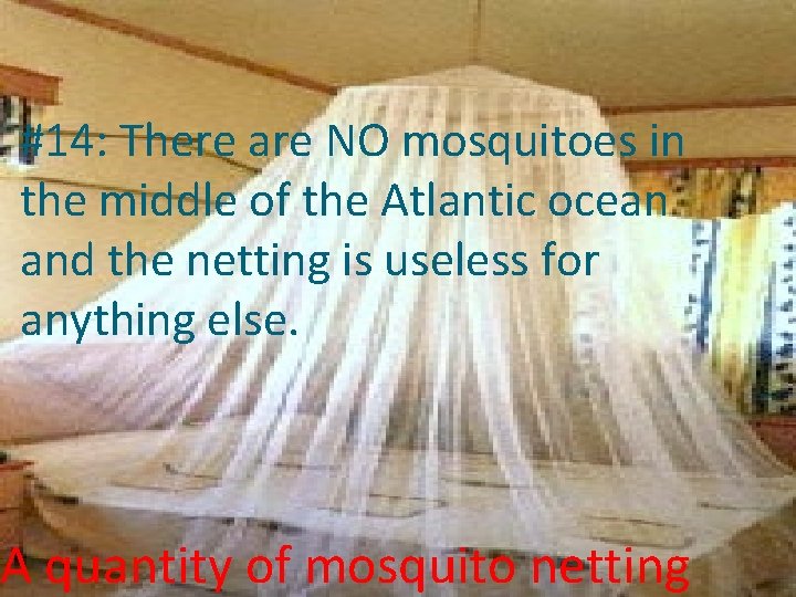 #14: There are NO mosquitoes in the middle of the Atlantic ocean and the