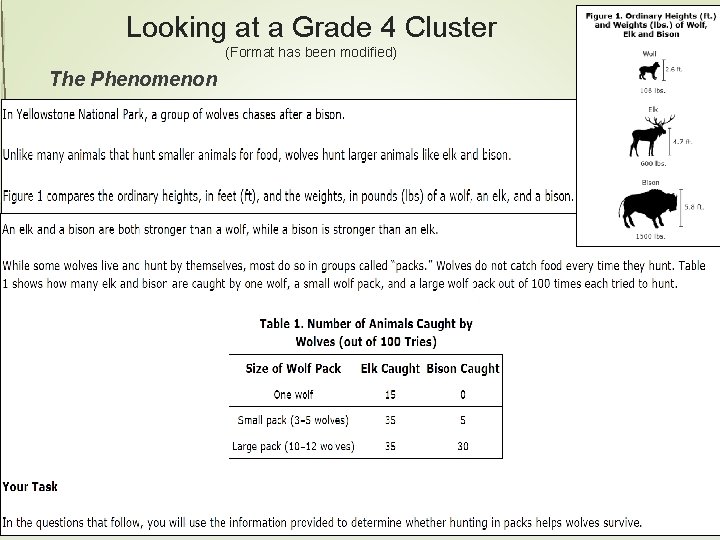 Looking at a Grade 4 Cluster (Format has been modified) The Phenomenon 27 Assessment