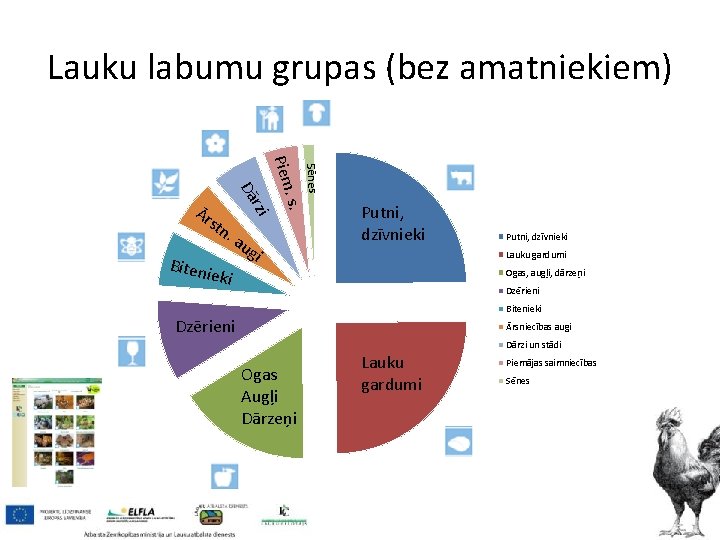 Lauku labumu grupas (bez amatniekiem) ieki Sēnes au . s. Biten Piem n. rzi