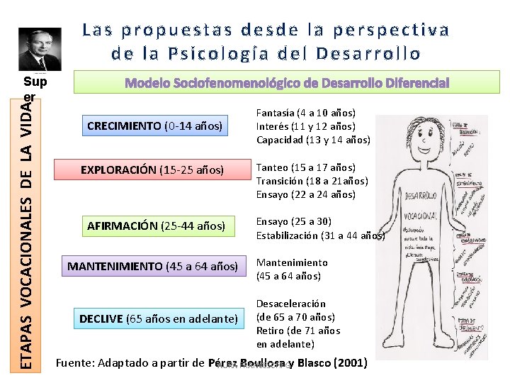 Las propuestas desde la perspectiva de la Psicología del Desarrollo ETAPAS VOCACIONALES DE LA