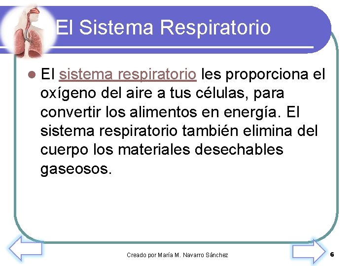 El Sistema Respiratorio l El sistema respiratorio les proporciona el oxígeno del aire a