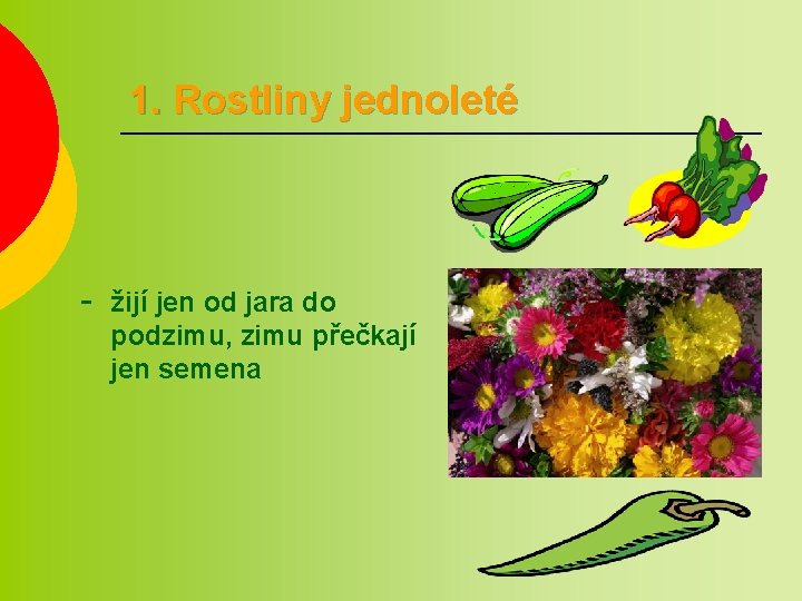 1. Rostliny jednoleté - žijí jen od jara do podzimu, zimu přečkají jen semena