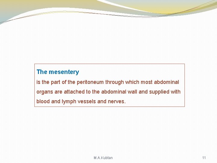 The mesentery is the part of the peritoneum through which most abdominal organs are The mesentery is the part of the peritoneum through which most abdominal organs are