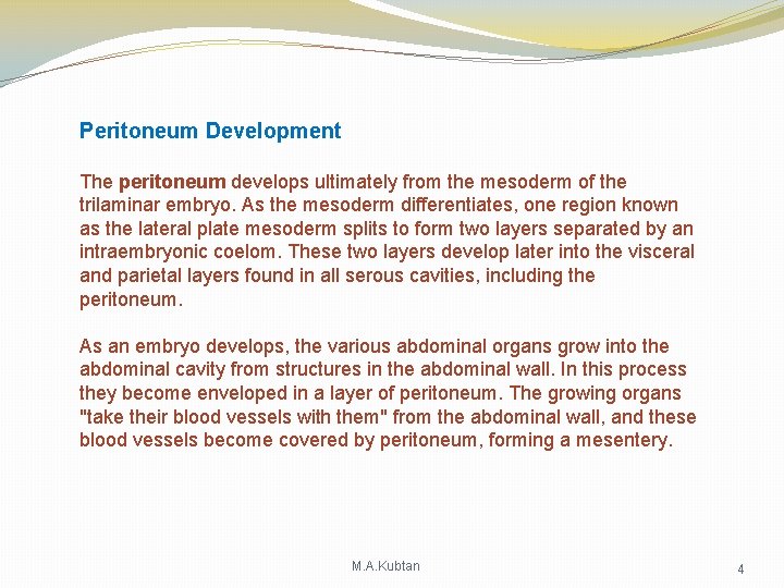 Peritoneum Development The peritoneum develops ultimately from the mesoderm of the trilaminar embryo. As Peritoneum Development The peritoneum develops ultimately from the mesoderm of the trilaminar embryo. As