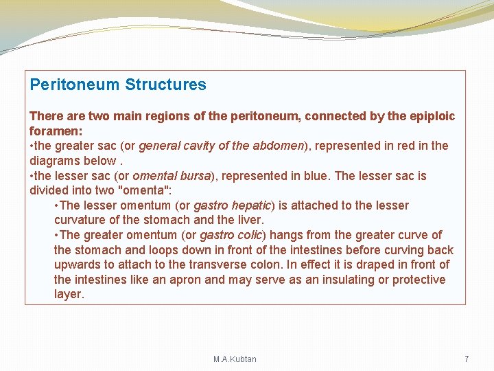 Peritoneum Structures There are two main regions of the peritoneum, connected by the epiploic Peritoneum Structures There are two main regions of the peritoneum, connected by the epiploic