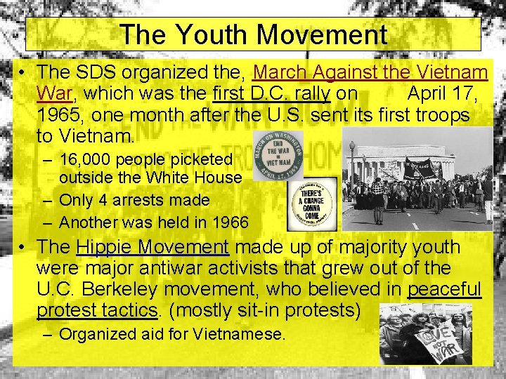 The Youth Movement • The SDS organized the, March Against the Vietnam War, which The Youth Movement • The SDS organized the, March Against the Vietnam War, which
