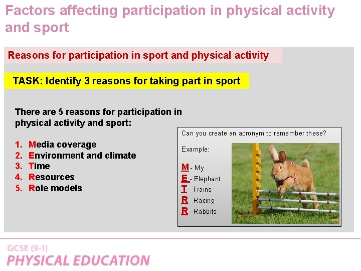 Factors affecting participation in physical activity and sport Reasons for participation in sport and
